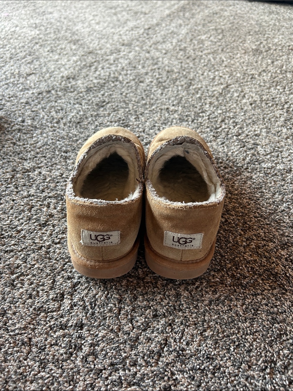 UGG Chestnut Australian Ankle Booties with Shearling Trim